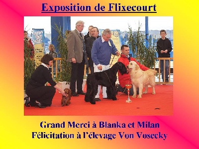 Du chene daniele - Exposition de Flixecourt.